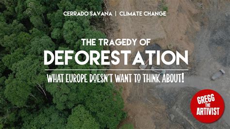 Tragedy of Cerrado Deforestation Europe Doesn't Want To Know ...