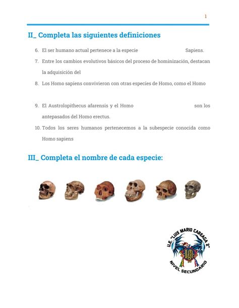 Evolución Worksheet Live Worksheets