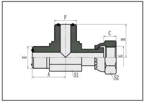 Cf Liber