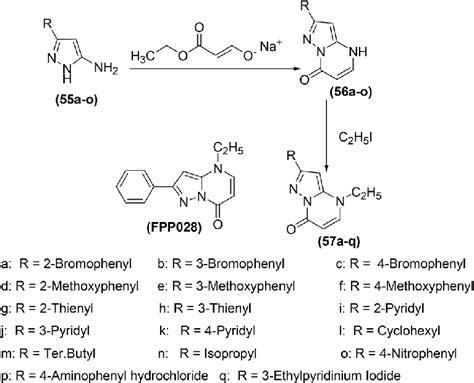 Scheme 24 Synthesis Of Pyrazolo L 5 A Pyrimidin 7 Ones 57a Q