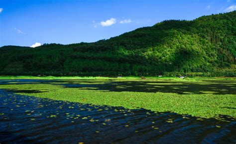 “519”幸福旅程从保山开始 追寻徐霞客停驻的足迹，遇见腾冲北海湿地