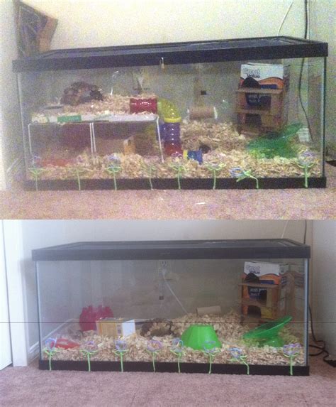 Hamster Cage Setup by Teakari on DeviantArt