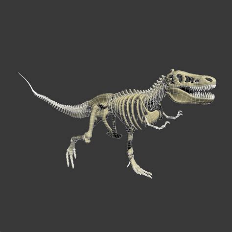 t-rex skeleton 3d model