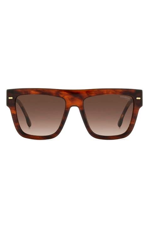 Shop Carrera Eyewear Online Nordstrom