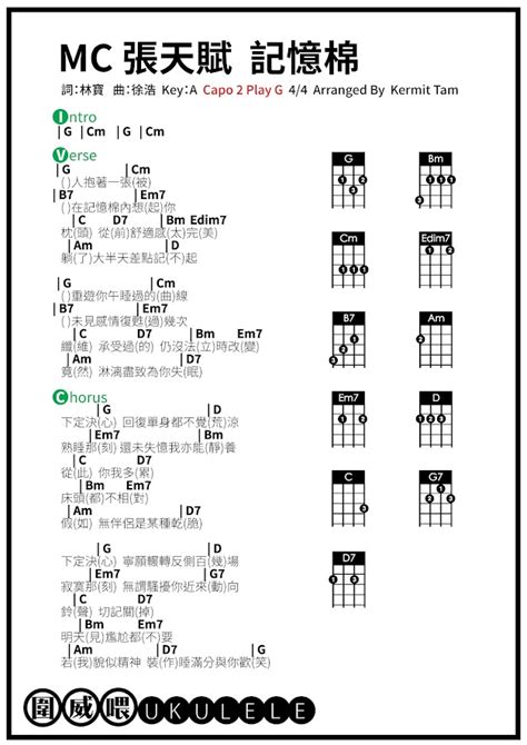 圍威喂 Ukulele Mc 張天賦 記憶棉 Playg