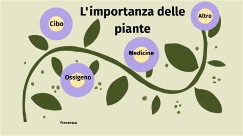 Importanza Delle Piante By Francesca Caricari