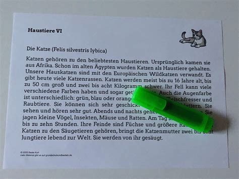 Projekt Haustiere Bung Vi Grundschule Und Basteln