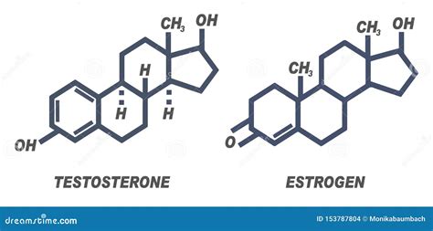 Illustration of Chemical Formula for Male and Female Hormones ...