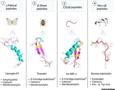 Helminthic Host Defense Peptides Using The Parasite To Defend The Host