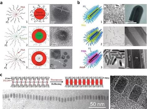 复旦大学聂志鸿教授和康涅狄格大学何杰教授chem Soc Rev ：聚合物引导的无机纳米粒子组装 表面