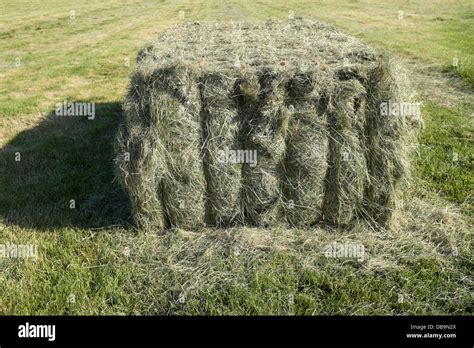 Hay Cube Hi Res Stock Photography And Images Alamy