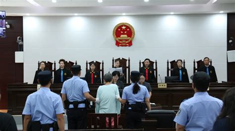 「楊妞花被拐案」二審將於11月28日開庭，一審被告人被判死刑 新浪香港