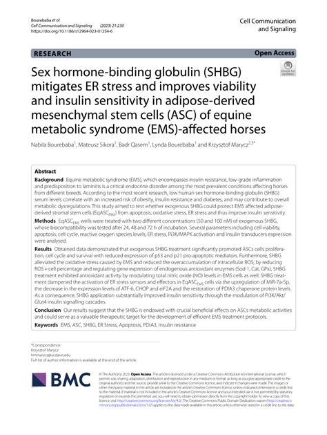 Pdf Sex Hormone Binding Globulin Shbg Mitigates Er Stress And