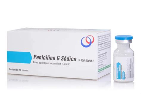 Penicilina G Nombre Comercial Farmacocinetica Farmacodinamia Y M S