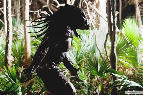 Predator Predators Movie Photo Fanpop