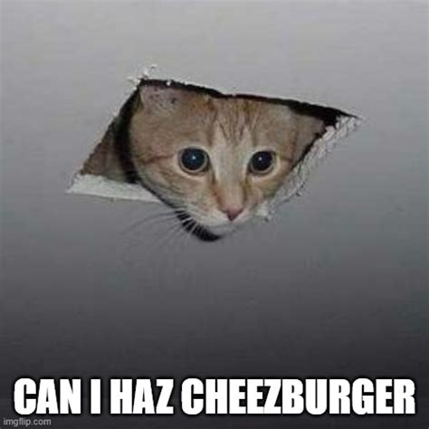 Cheez Imgflip