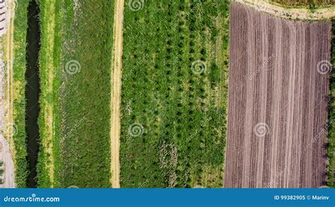 Fertile Land and Crops in Southern Croatia in Neretva Valley Stock ...