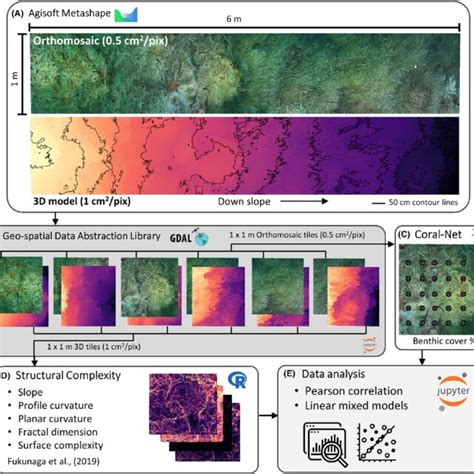 orthomosaic   model processing workflow