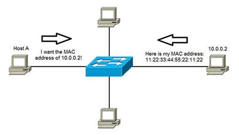 Arp Table