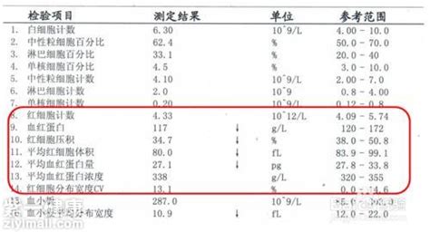 一图读懂血常规 一图读懂图片 一图读懂 第10页 大山谷图库