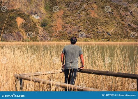 Um Homem Novo Apenas Em Um Lago Retrato Arboleda Do La Pa S Basque