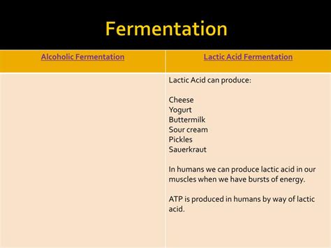 Ppt Cellular Respiration And Fermentation Powerpoint Presentation