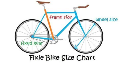 Fixed Gear Bike Size Chart EBikeAI