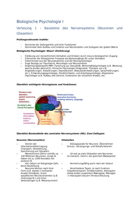 Zusammenfassung Komplett Biologische Psychologie I Vorlesung