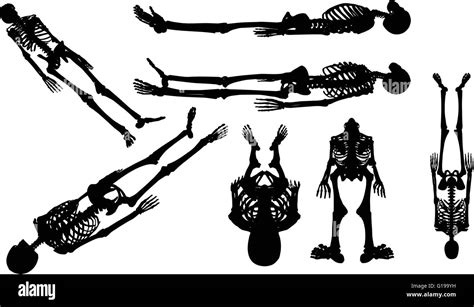 Vector Image Skeleton Silhouette In Supine Pose Isolated On White