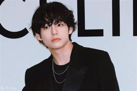 PROFIL Dan Biodata Kim Taehyung Atau V BTS Yang Jadi Brand Ambassador