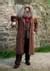 Deluxe Plus Size Harry Potter Hagrid Costume