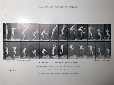 Muybridge, Eadweard - The Human Figure in Motion - An - Catawiki