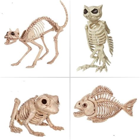 Hot sale Skeleton Animal 100% Plastic Animal Skeleton Bones for Horror ...