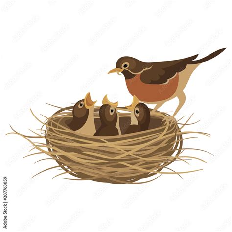 Vetor De Cartoon Bird S Nest With Chicks Vector Illustration For