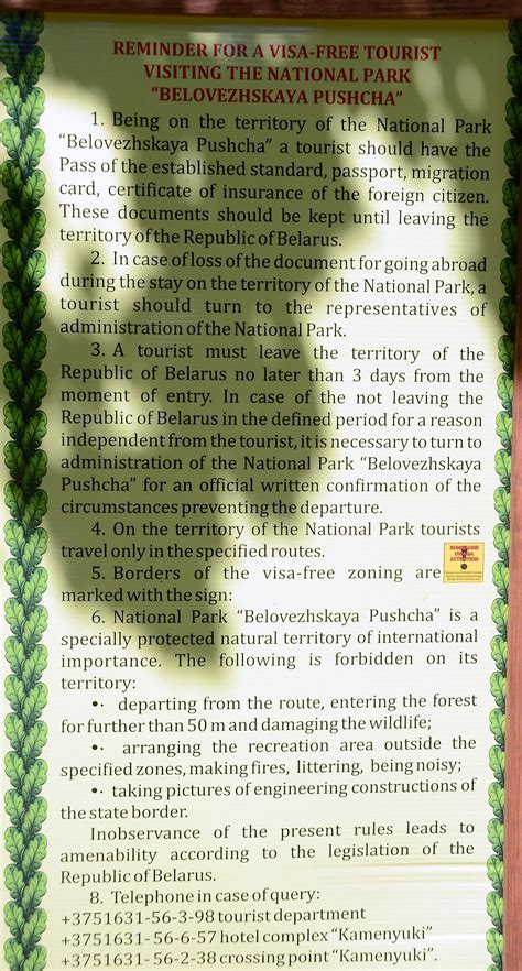 The new attraction in Bialowieza Forest - a VISA-FREE visit on the
