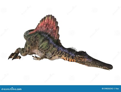 Le Dinosaur Du D Coupage D Au Dessus Du Chemin Rendent Le Spinosaurus