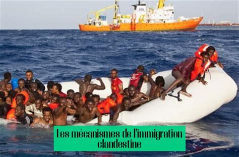 Comment Expliquer L Immigration Clandestine Comprendre Un Ph Nom Ne