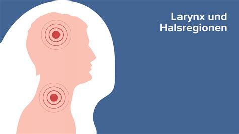 Larynx Und Halsregionen Online Medizin Kurs Lecturio