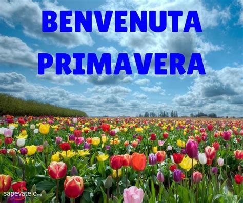 Equinozio Di Primavera Foto E Immagini Gratis Da Condividere