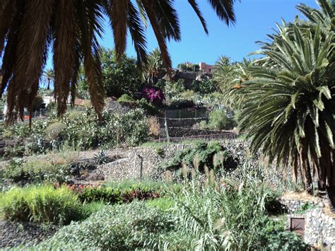 Parque Tecnol Gico Playa Para So Nuestra Visita A Las Plantas