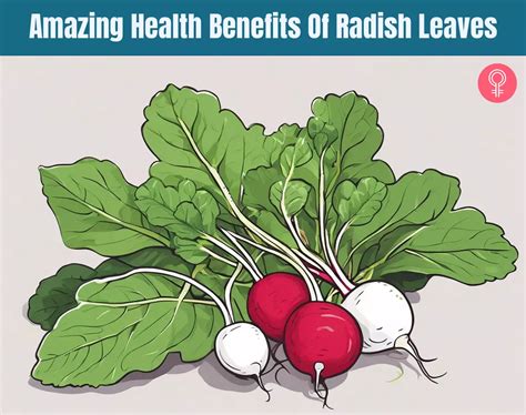 10 Amazing Health Benefits Of Radish Leaves