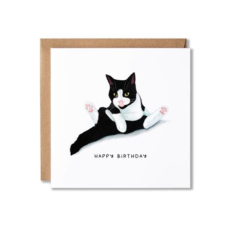 happy birthday cat gif 2
