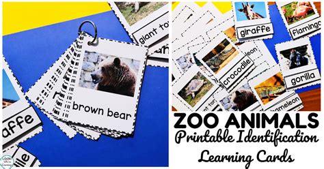 Zoo Animals Printable Memory Cards