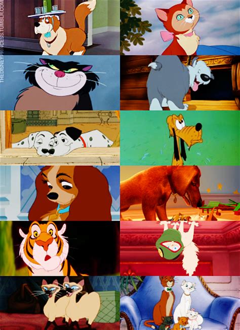 dogs and cats - Disney Couples Photo (19881717) - Fanpop