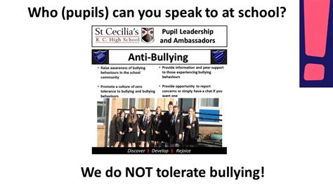 Anti Bullying Week St Cecilias Rc High School