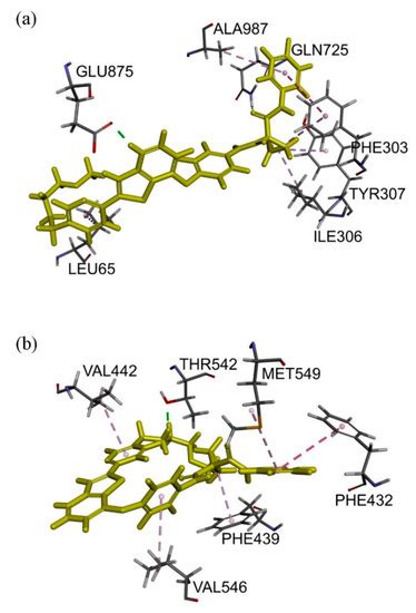 Cancers Free Full Text Sitravatinib Sensitizes Abcb1 And Abcg2