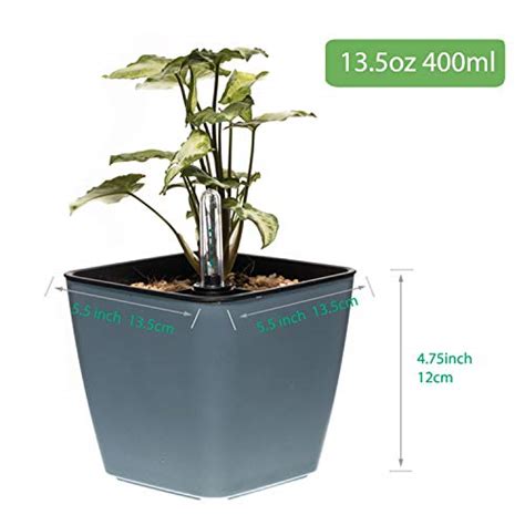 T4U 5 5 Inch Self Watering Plastic Planter With Water Level Indicator