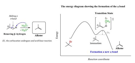 The Step-by-Step Guide to Understanding E1 Reaction Coordinate Diagrams