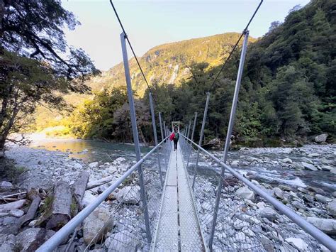 15 BEST Hikes in Milford Sound