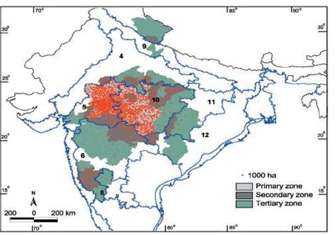 Trends Of Soybean Area Production And Productivity In India